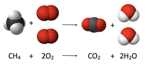 Conservation of Mass Diagram